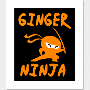 Ginger Ninja Posters and Art